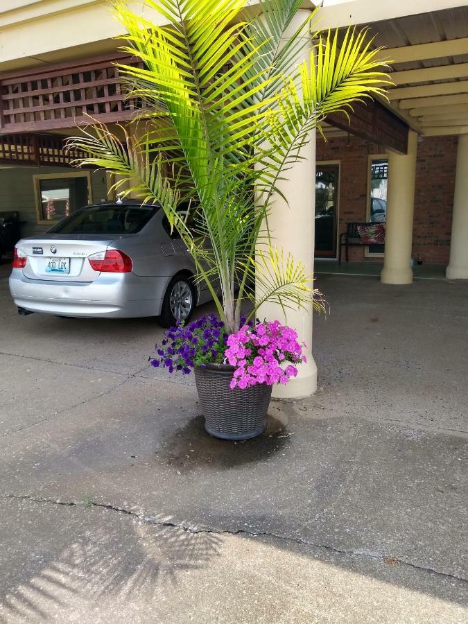 Southern Comfort Suites Mayfield ภายนอก รูปภาพ